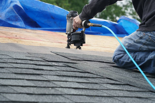Best Roof Gutter Cleaning  in Marfa, TX